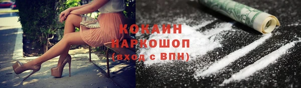 молекула духа Тайга