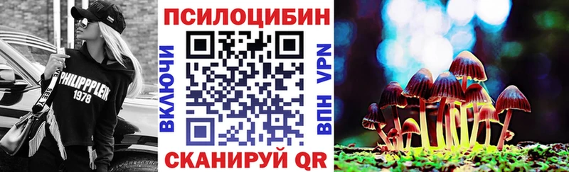 Псилоцибиновые грибы Cubensis  Купить закладки  Краснодар 